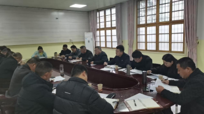 通城县大坪乡召开 G353 国道二期项目专题推进会 全力擘画交通建设新蓝图