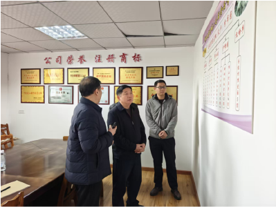 通城县领导调研蔬菜水果产业链发展