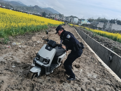 湖北通城塘湖油菜花节游客遇困 警民学生合力相助
