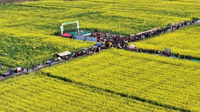通城：花开助农“香约”塘湖 奏响农文旅融合“振兴曲”