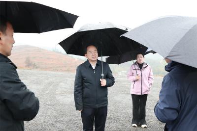 黄建平调研油茶产业高质量发展并开展巡林工作