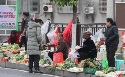 通城：小摊点聚起烟火气 菜篮子拎出幸福感
