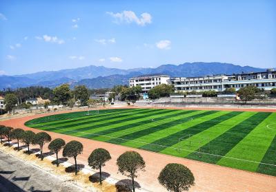 通城县杨部中学开展校园植树绿化活动