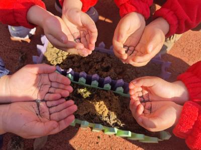 通城县隽水镇黄源幼儿园举行植树节主题系列活动