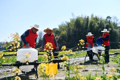 通城塘湖：飞防作业助力春耕生产