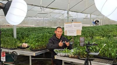 一盘好苗促增收 湖北绿康育苗闯出大天地