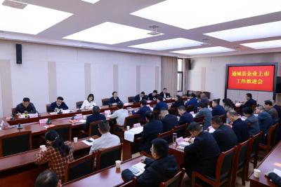 通城县召开企业上市工作推进会