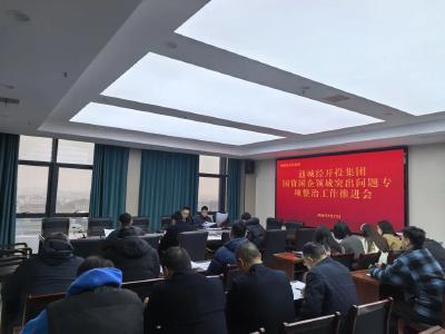 聚焦问题研判 压实整改责任｜通城经开投资集团全力推进国资国企领域专项整治工作
