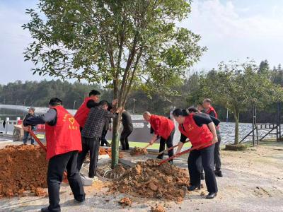 通城县石南镇：开展植树活动 以实际行动为美丽乡村建设增添绿色动能