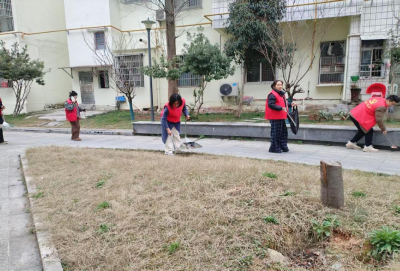 通城县隽水镇秀水社区开展学雷锋志愿服务活动