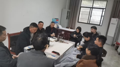 通城县大坪乡：民主生活会“把脉开方”，青山村助力G353国道项目“加速跑”