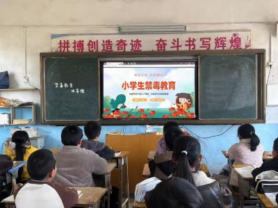 通城县马港镇九岭小学：开展禁毒宣传教育 筑牢校园“防毒墙”