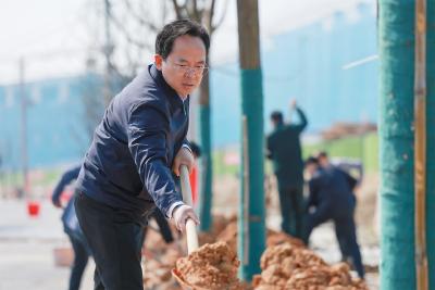 通城县开展2026年义务植树活动