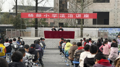 通城县大坪乡司法所走进来苏完小与杨部小学开展“法治守护‘少年的你’”平安成长主题宣传活动