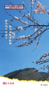 【海报】早安·隽秀通城