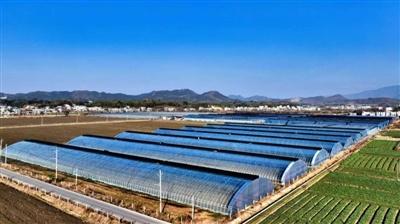 ​湖北通城：建设和美乡村 推进全域振兴