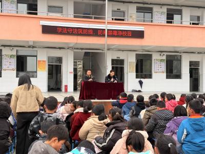 学法守法筑防线 防毒禁毒净校园|通城县天灯岭小学开展安全宣教育活动