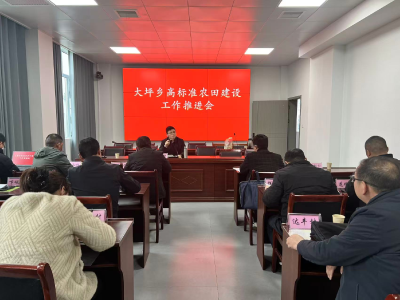 通城县大坪乡：深耕良田强根基 赋能乡村促振兴