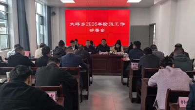 通城县大坪乡召开防汛工作部署会 筑牢安全度汛防线