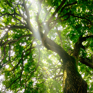 【生态通城】马港潭下：藏在通城深山里的“香格里拉” 