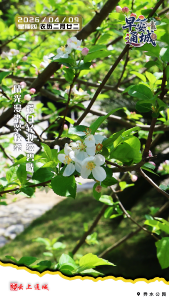 【海报】早安·隽秀通城