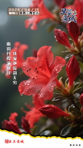 【海报】早安·隽秀通城