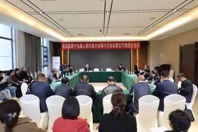 通城县第十九届人民代表大会第六次会议各代表团酝酿候选人名单草案 推荐大会监票人