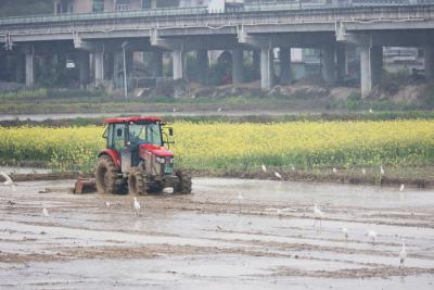 【春耕备耕正当时】通城：农机“唱主角” 犁出“加速度”