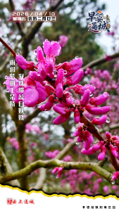 【海报】早安·隽秀通城