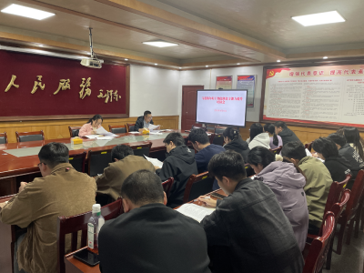 通城县马港镇召开年轻干部素质能力提升培训会