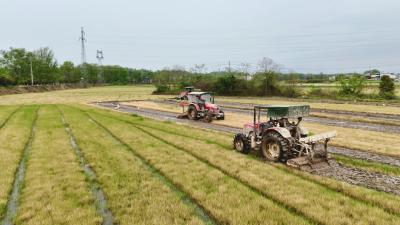 【春耕备耕正当时】通城县沙堆镇：农机轰鸣闹春耕 合作社添力促丰产  