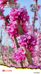 【海报】早安·隽秀通城