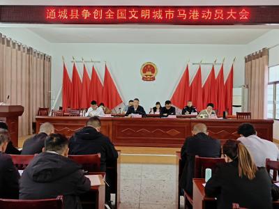 通城县马港镇召开通城县争创全国文明城市马港动员大会