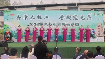 首届“春染大柱山·香凝霞光茶”采茶节在通城县大柱山茶园开幕