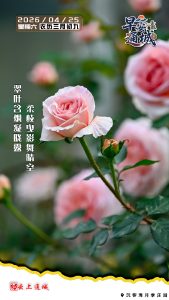 【海报】早安·隽秀通城