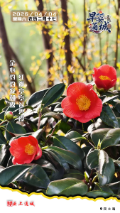 【海报】早安·隽秀通城