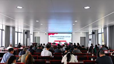 通城县塘湖镇召开2026年村集体经济发展工作推进会