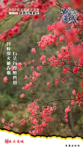 【海报】早安·隽秀通城