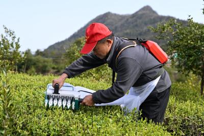 缅怀革命先烈 传承红色基因 | 通城县沙堆镇开展退伍军人清明节祭扫活动