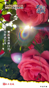 【海报】早安·隽秀通城