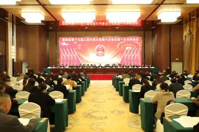 通城县第十九届人民代表大会第六次会议开幕