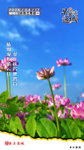 【海报】早安·隽秀通城