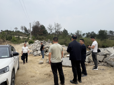 通城县石南镇：现场勘查林地报批 护航村组道路建设