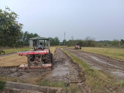 通城县沙堆镇：农机轰鸣“闹”春耕 科技赋能促丰收