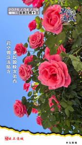 【海报】早安·隽秀通城