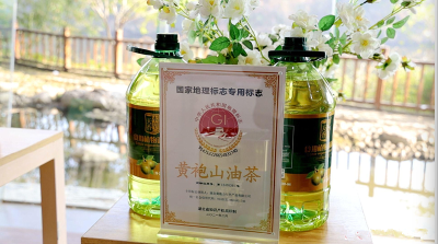 医学博士的山乡守望——记湖北黄袍山绿色食品有限公司董事长晏绿金