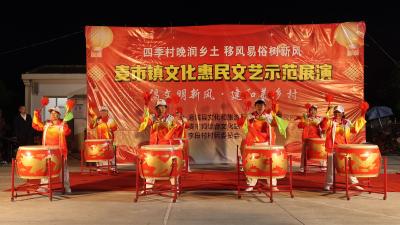  倡文明新风 建和美乡村｜通城县麦市镇“四季村晚”示范展演走进李塅村