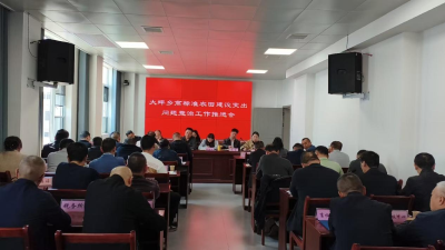 通城县大坪乡召开高标准农田建设突出问题整治工作推进会 筑牢粮食安全防线