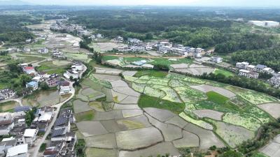 通城县四庄乡清水村：移旧俗 育新风 润民生  