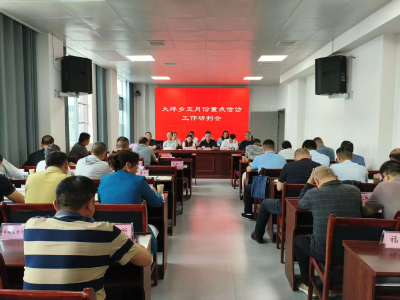 通城县大坪乡：研判信访形势 守护平安大坪